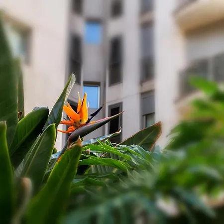 Appartamento New Estrelitzia Luxury Apartamen *