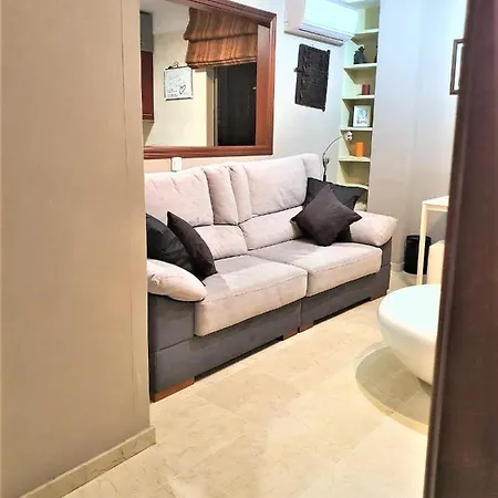 公寓 New Estrelitzia Luxury Apartamen *