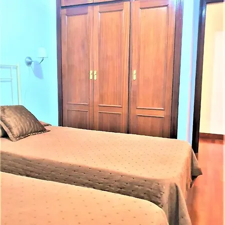 公寓 New Estrelitzia Luxury Apartamen 圣克鲁斯-德特内里费
